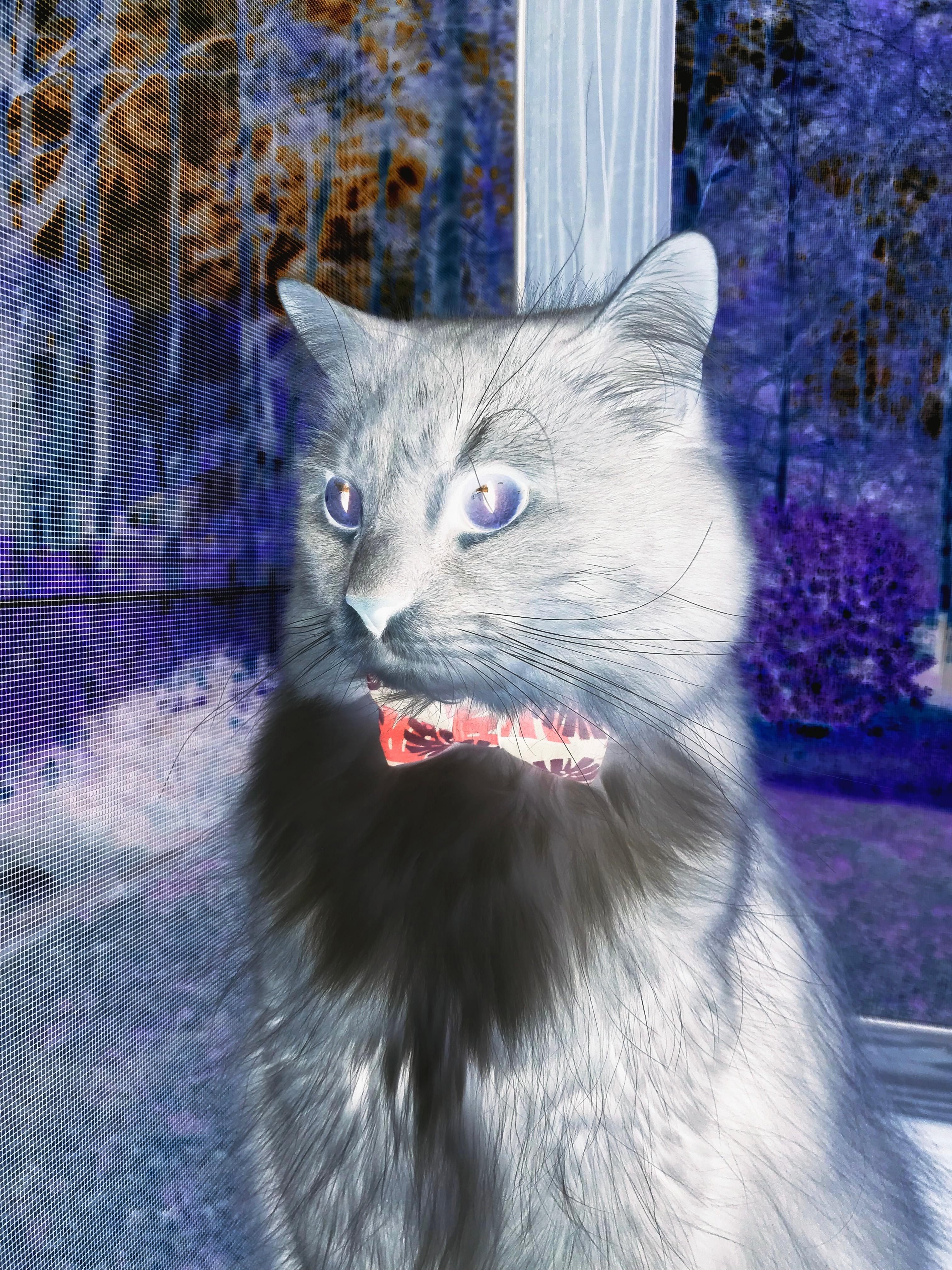 乐鱼体育官网注册-主场与客场是否会对比赛节奏产生影响，主场和客场的优劣势