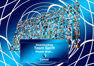 乐鱼体育官网登录-决赛MVP背后的团队协作密码，总决赛mvp奖杯叫什么