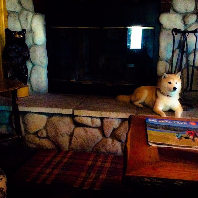 乐鱼体育网页登录-场上心理抗压能力稳中有进，心理抗压能力强