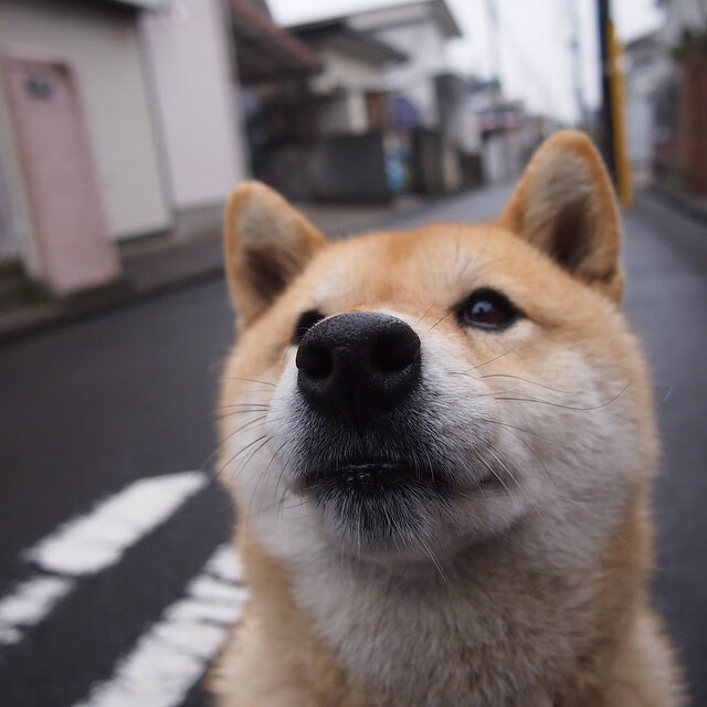 乐鱼体育app官网-城市马拉松公益主题深入人心，城市马拉松活动策划方案