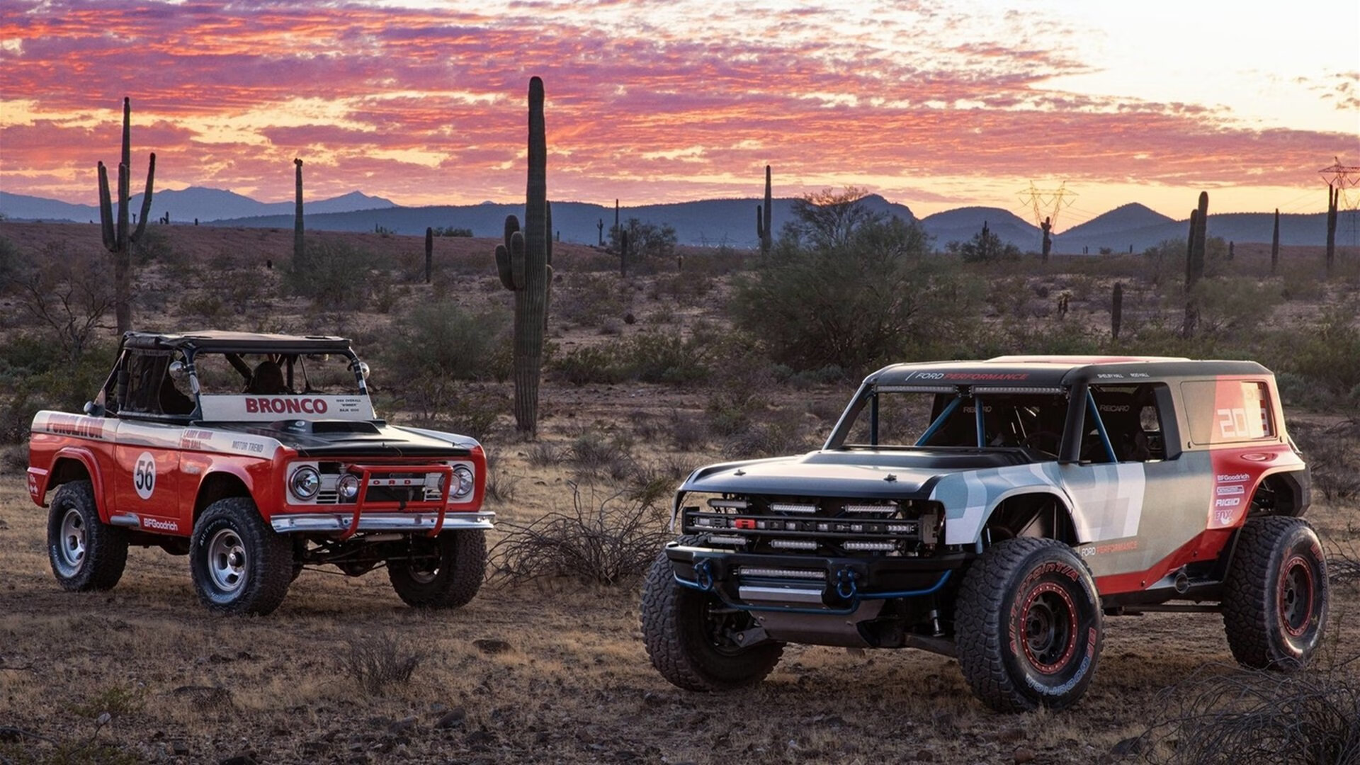 乐鱼体育app官方入口-女队整体划频数据排名中上游，女队队员