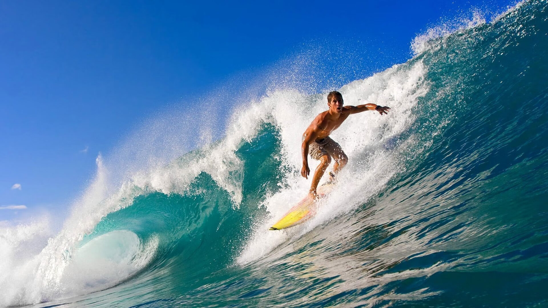 乐鱼体育平台-蝶泳冠军划水幅度平均达2.3米，蝶泳高手