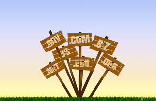 乐鱼体育官网下载-足球产业扶持政策分布区域不均衡，足球产业占体育产业比重