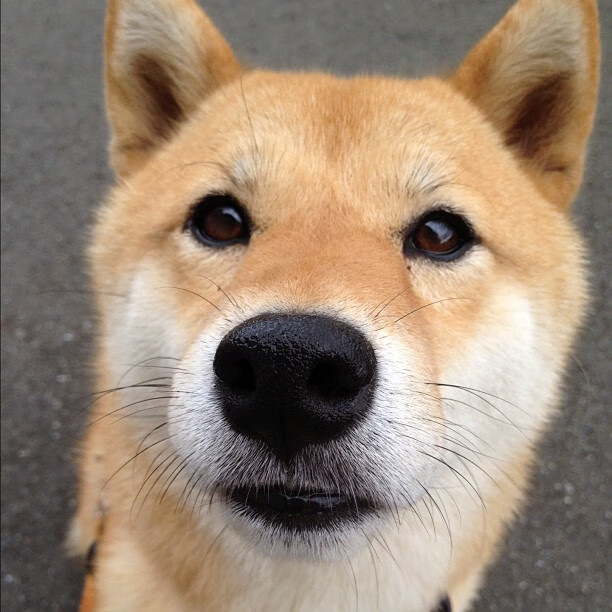 乐鱼体育app下载地址-世界杯史诗再现：每一场都精彩不已！，世界杯经典回顾