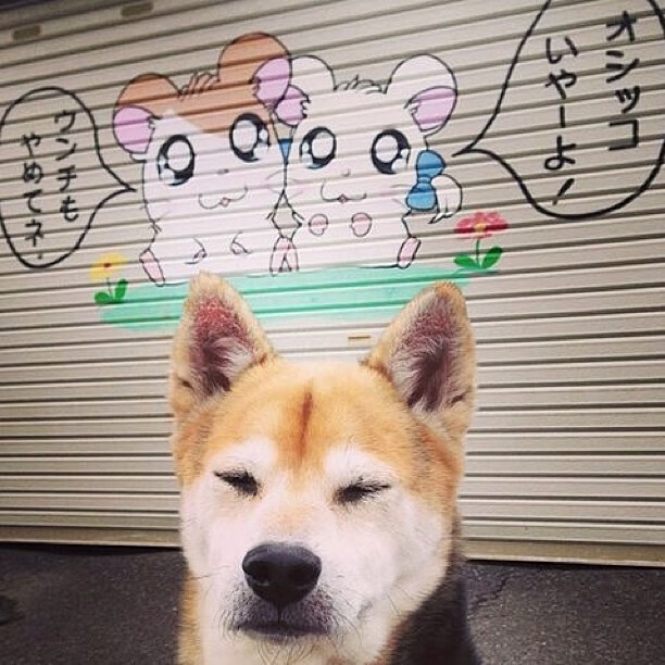 乐鱼体育官网下载-南非男队接力泳配合出色,南非男队接力泳配合出色的是谁