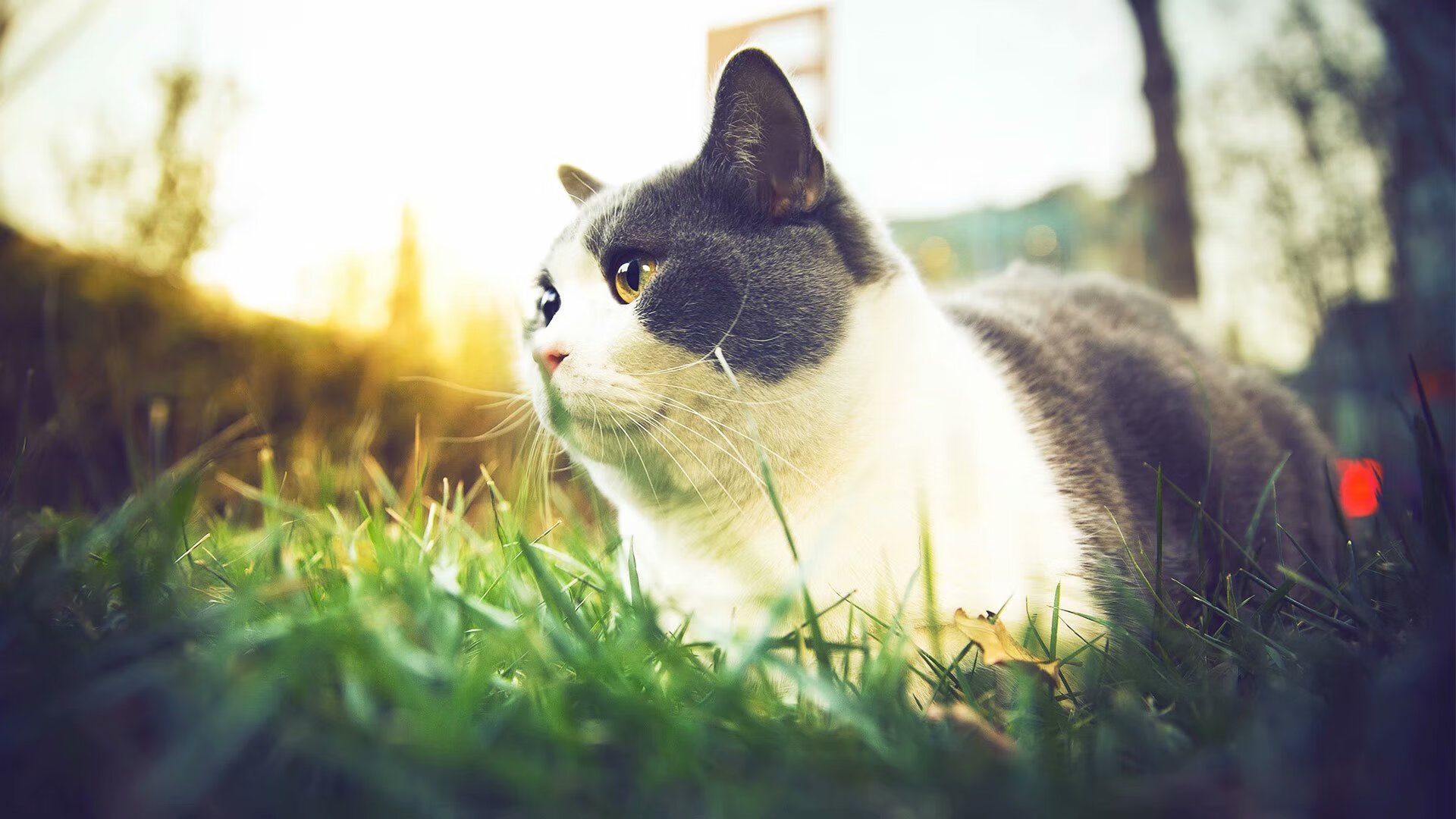 乐鱼体育app入口-哈登单节五助攻快船进攻节奏流畅,哈登单打集锦