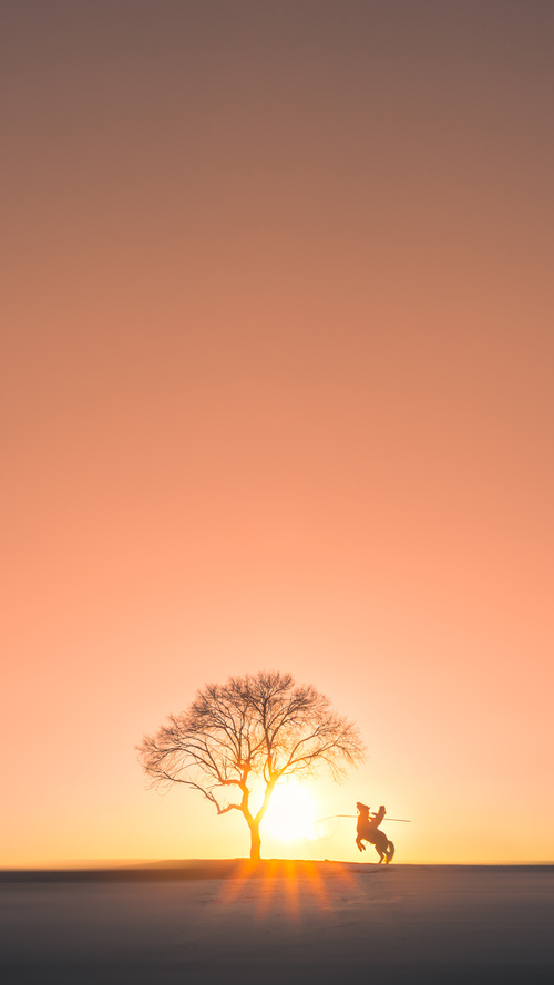 乐鱼体育官网登录-国家队核心球员专项训练提升关键位置技术水平,核心球员角色球员区别