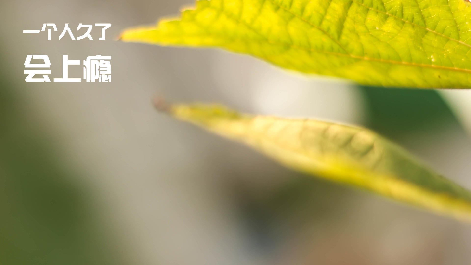 乐鱼体育官网登录-国家队核心球员专项训练提升关键位置技术水平,核心球员角色球员区别