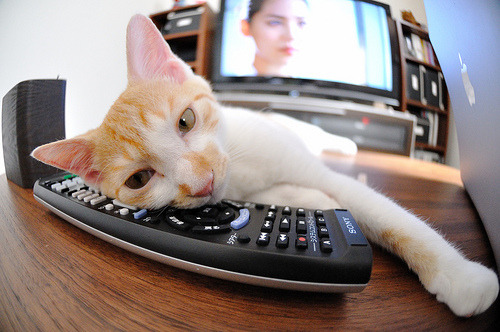 乐鱼体育在线登录-奇才重击纷争巅峰三分手引爆全场,奇才重击纷争巅峰三分手引爆全场怎么打