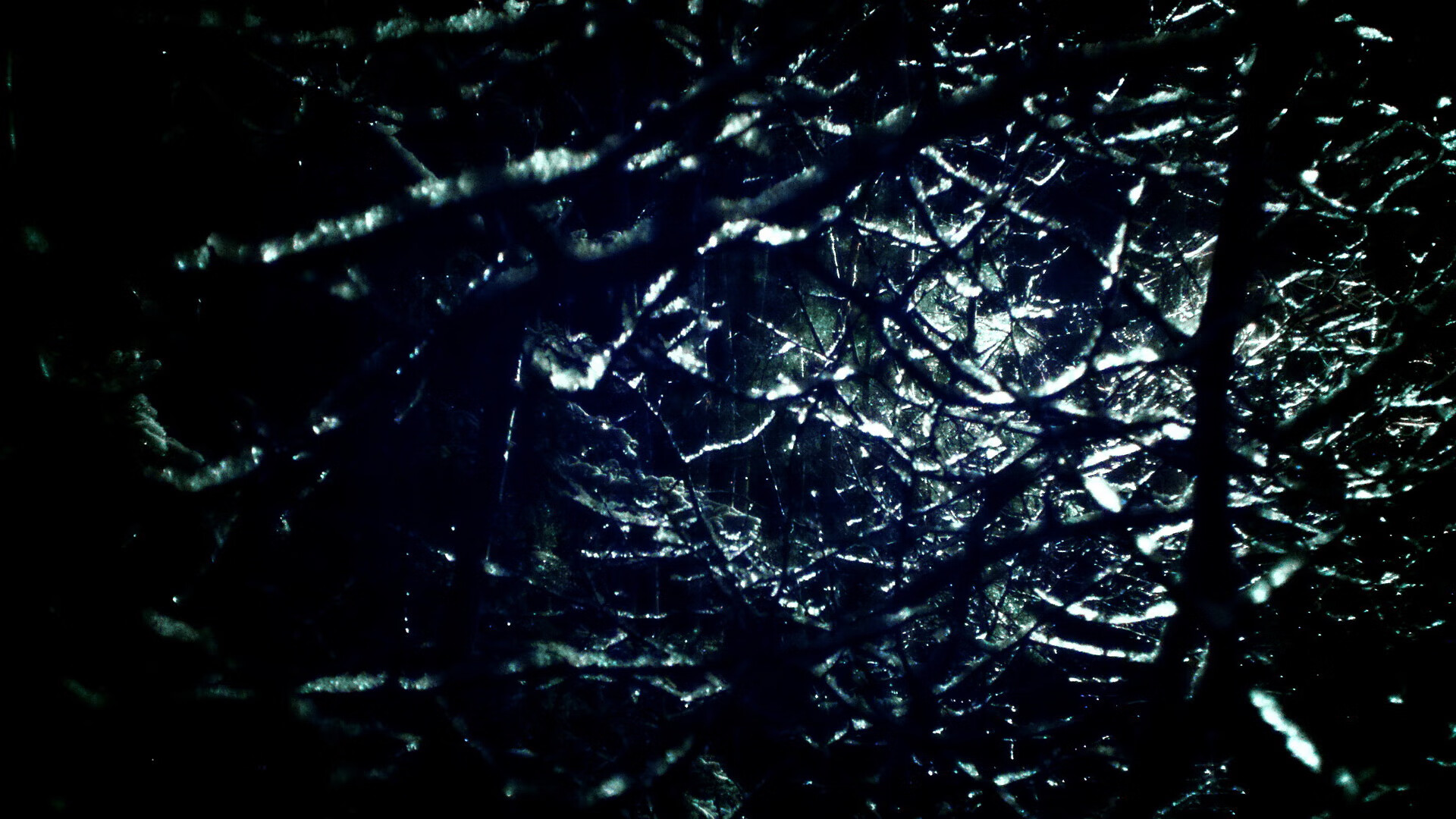 乐鱼体育app官方入口-女子橄榄球市场增速惊人,哪支队伍成为焦点?,女子橄榄球俱乐部