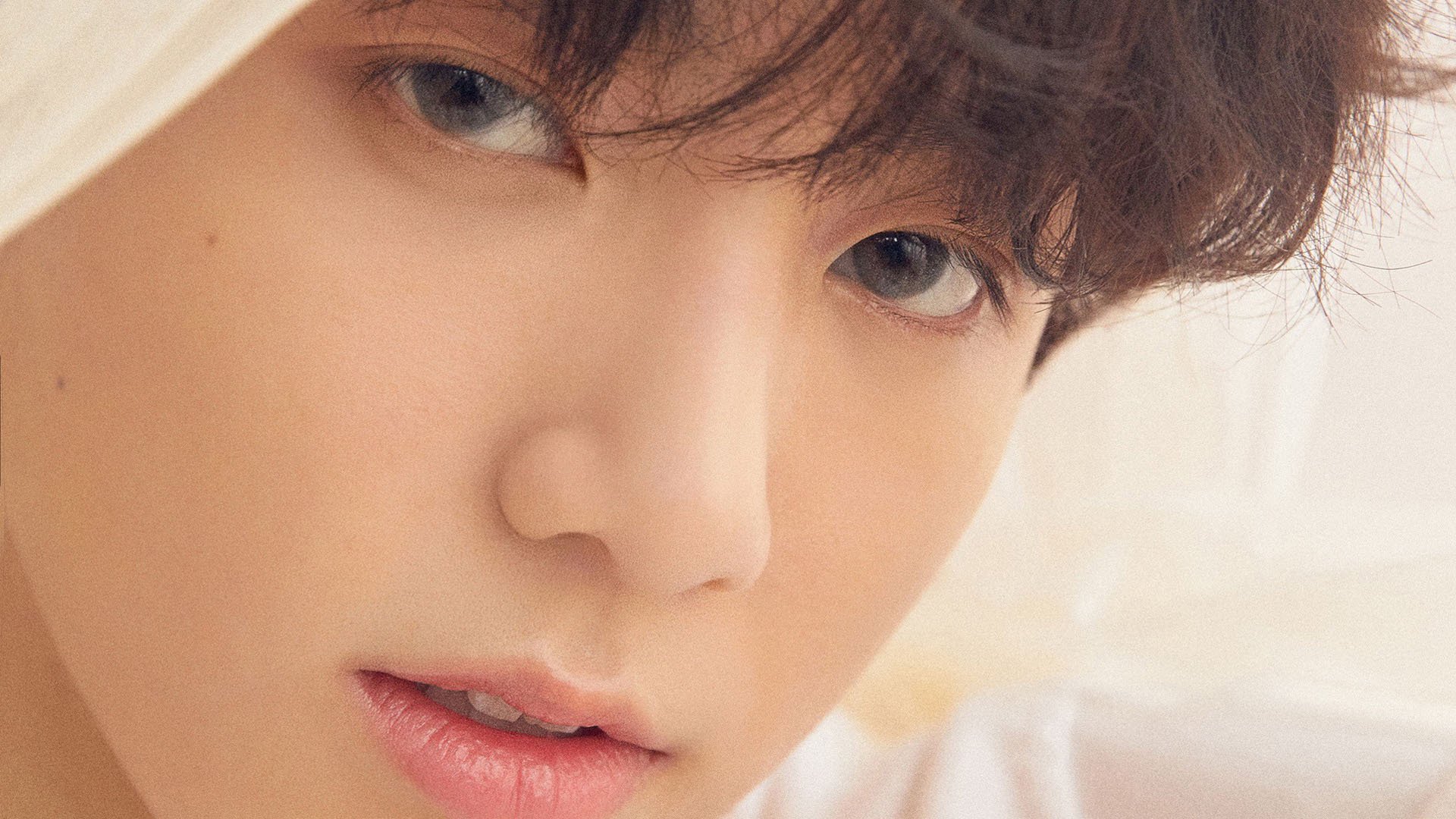 乐鱼体育平台-张雨霏赛事中展现顽强拼搏,张雨霏比赛过程