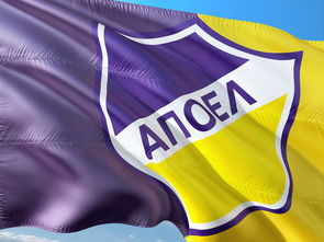 乐鱼体育平台登录-斯洛伐克女篮在欧洲预赛中表现出色,期待奥运资格的到来,斯洛伐克女子篮球锦标赛