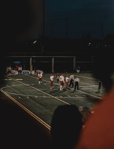 乐鱼体育官网入口-新西兰全黑队细腻的球场控制力令人叹为观止,新西兰篮球队队员名单