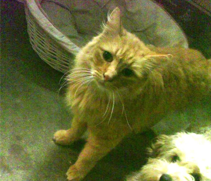 乐鱼体育登陆-极限运动课程纳入高等体育教育体系，极限运动学校