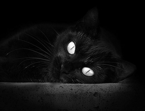 乐鱼体育在线官网-火箭旧将回归引发球迷热情欢迎,火箭近况如何