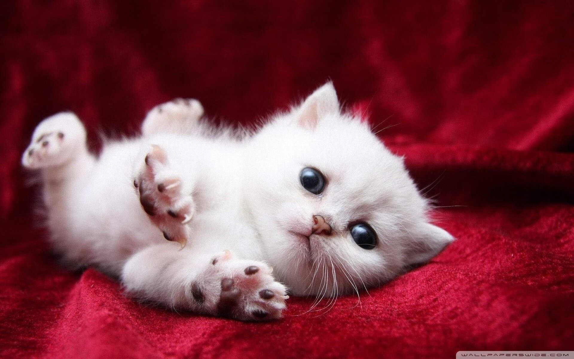 乐鱼体育-詹姆斯训练后接受采访表示状态越来越好，詹姆斯训练有多刻苦