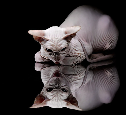 乐鱼体育直播在线-贝宁男篮在非洲锦标赛中持续突破，扬威国际舞台，非洲贝宁的气候怎么样